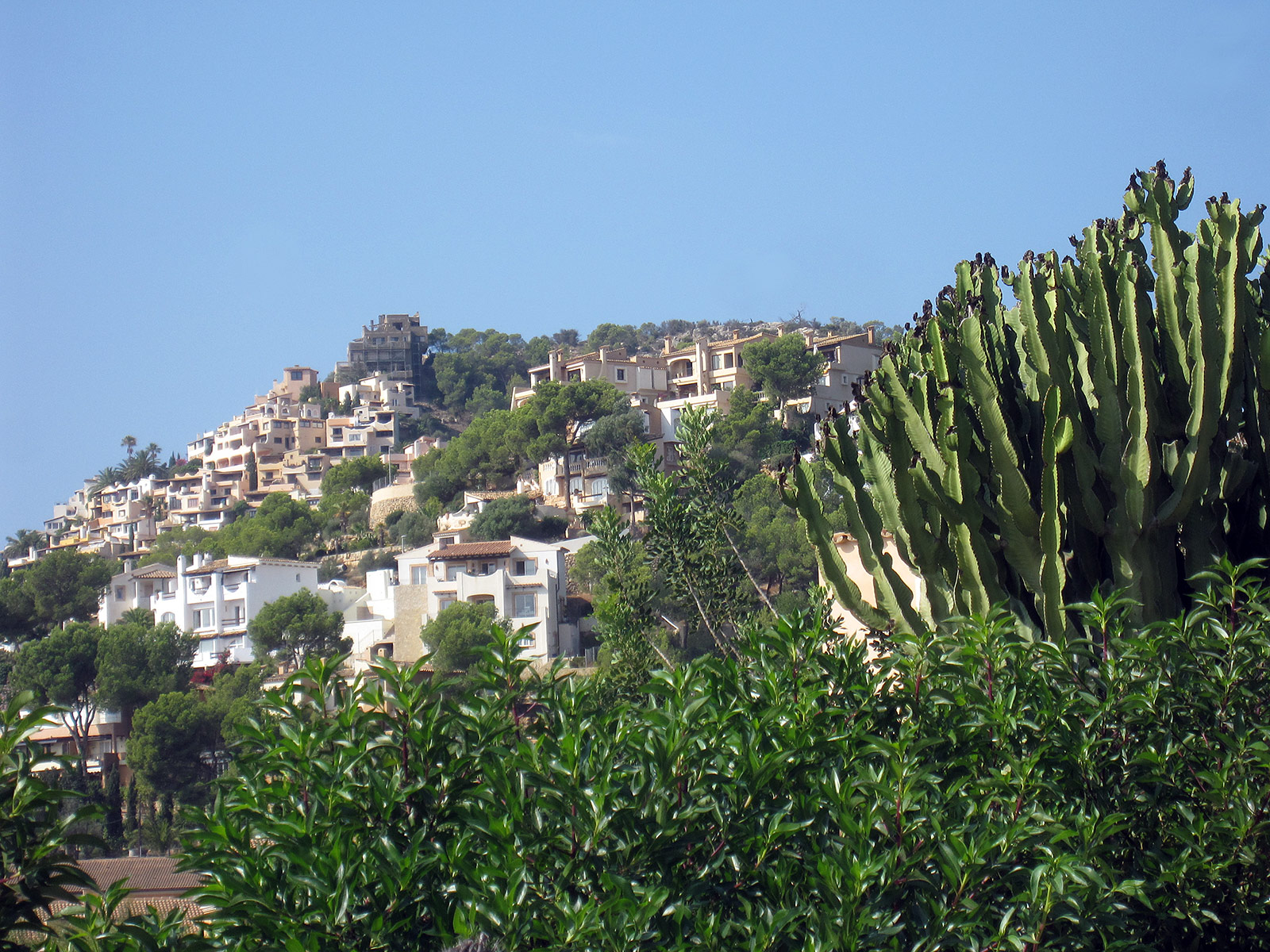 Port d'Andratx